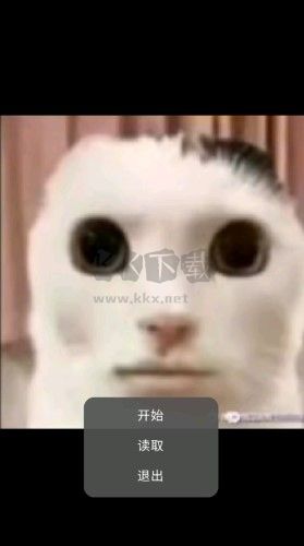 猫猫惊魂